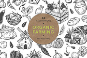 Organic Farming. Fresh market.