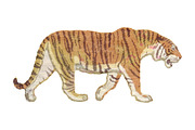 Hi-Res Vector Vintage Tiger
