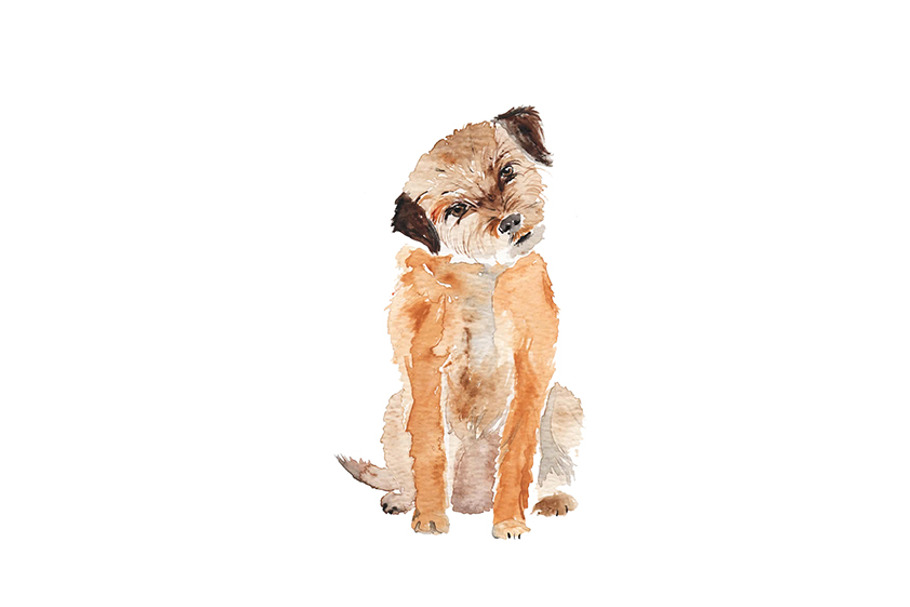 Watercolor Dog Cute Border Terrier