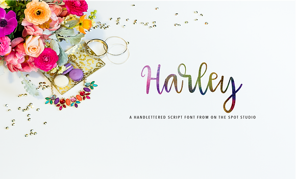 Harley Q in Script Fonts - product preview 3