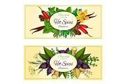 Hot spices, seasonings, spicy herbs vector banners