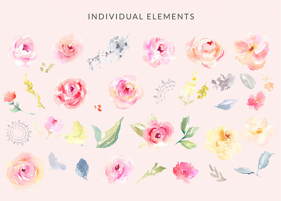 Emma Kay Watercolor Clip Art Flower in Illustrations - product preview 4