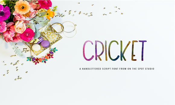 Cricket in Display Fonts - product preview 1