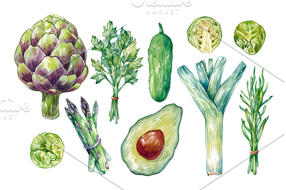 Watercolor Vegetables.  in Illustrations - product preview 1