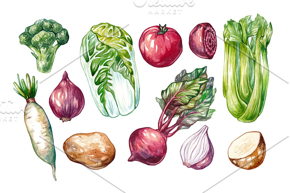 Watercolor Vegetables.  in Illustrations - product preview 2