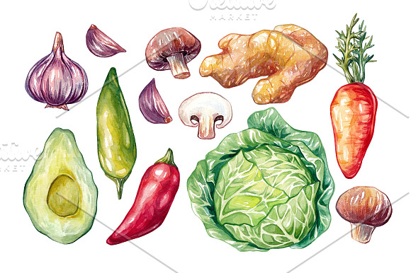 Watercolor Vegetables.  in Illustrations - product preview 3
