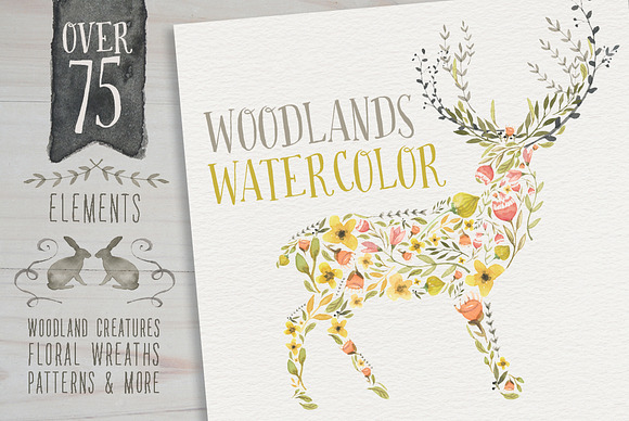 Woodlands Watercolor megapack in Illustrations - product preview 2