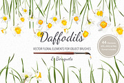 Vector object brushes. Daffodils