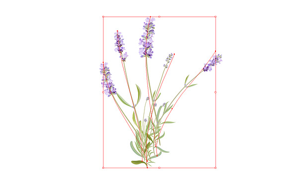 Vector object brushes. Lavender in Photoshop Brushes - product preview 2