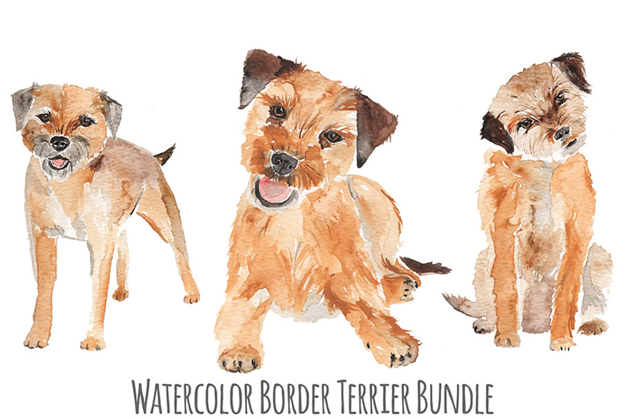 Watercolor Dog Bundle Border Terrier