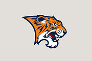 Tiger sport logotype.
