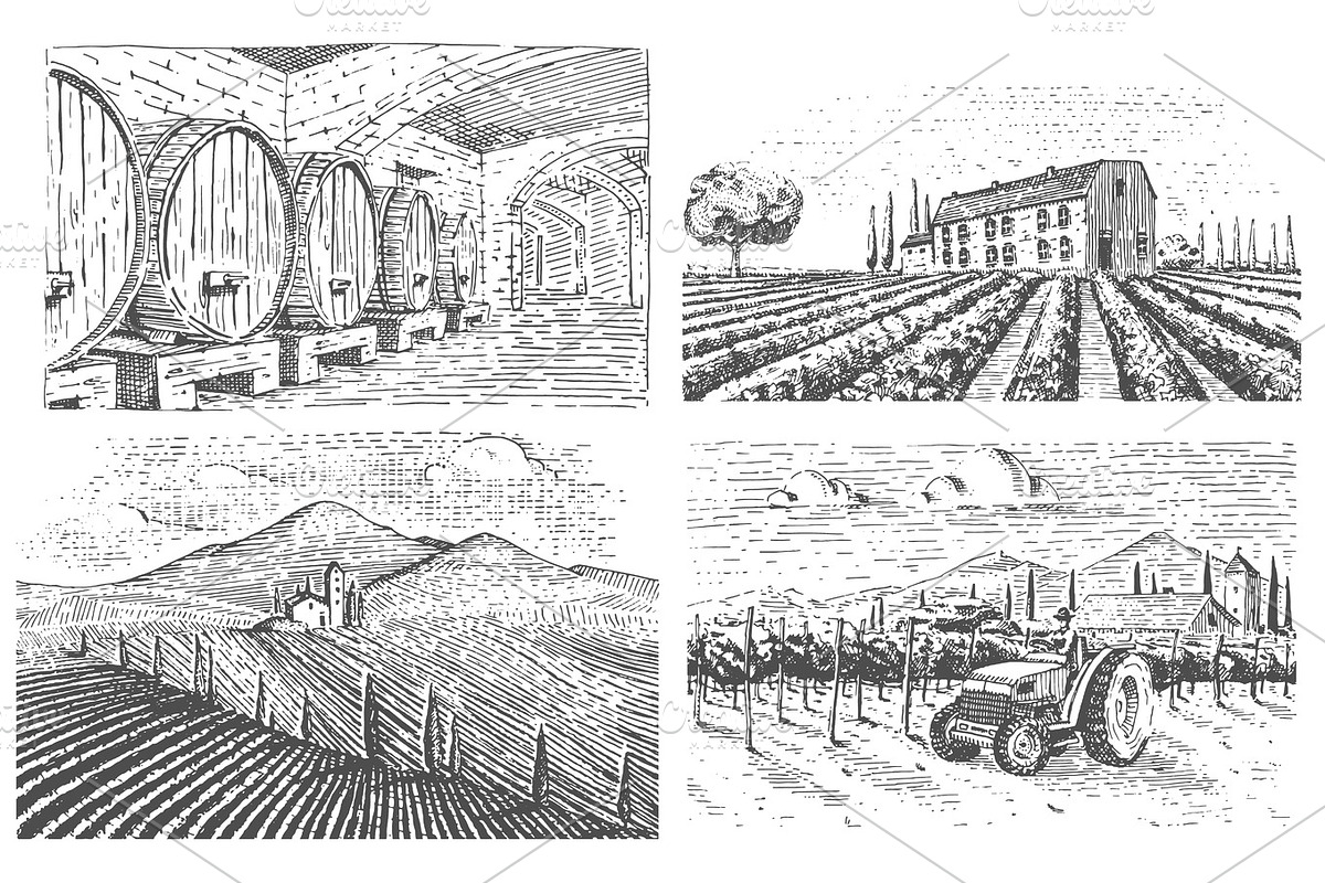 Vintage engraved, hand drawn vineyards landscape, tuskany fields, old looking scratchboard or tatooo style in Illustrations - product preview 8