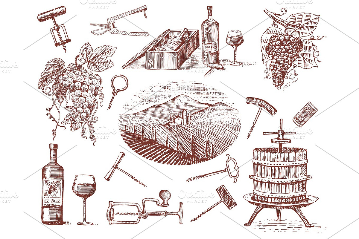 wine harvest products, press, grapes, vineyards corkscrews glasses bottles in vintage style, engraved hand drawn in Illustrations - product preview 8
