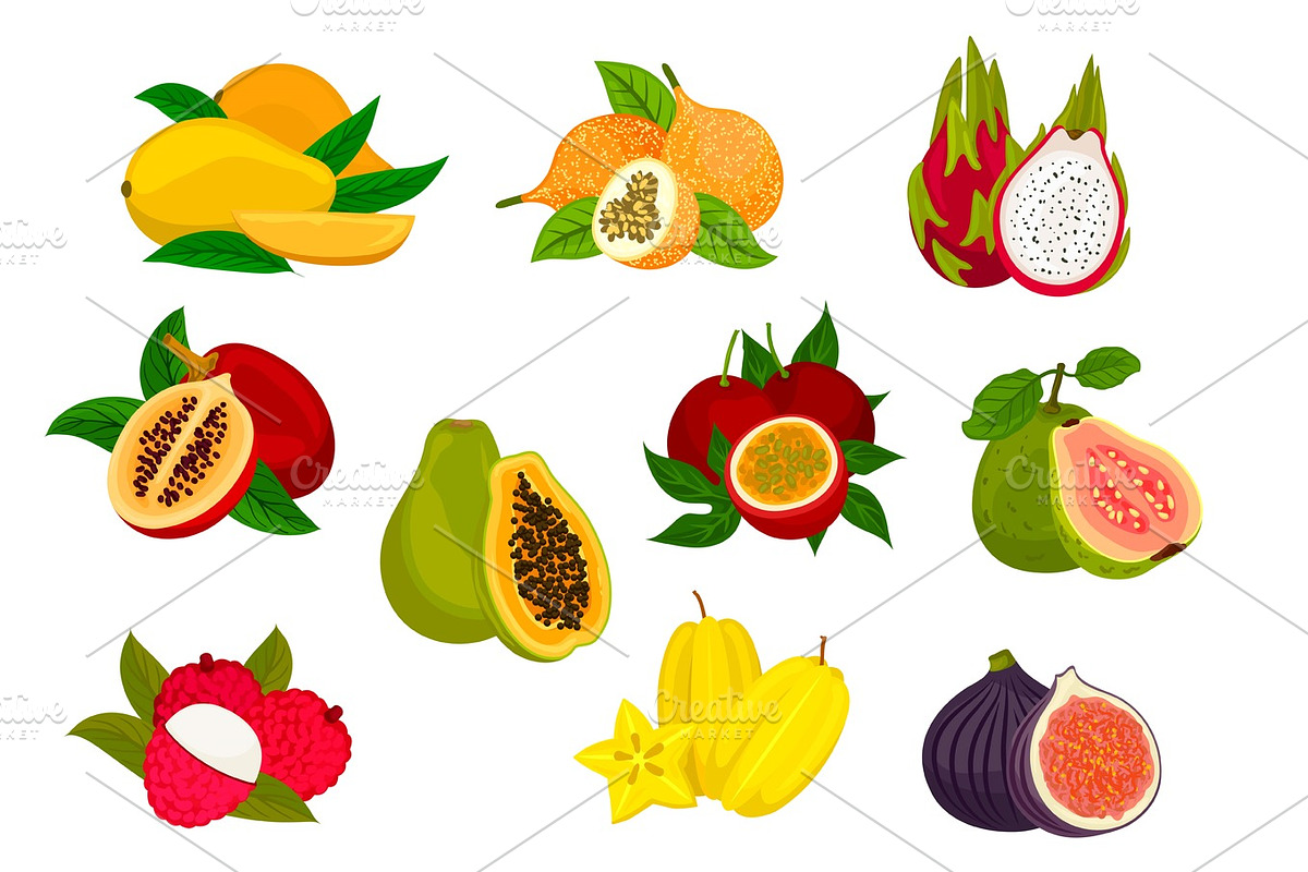 Exotic tropical fruit isolated icon set in Illustrations - product preview 8