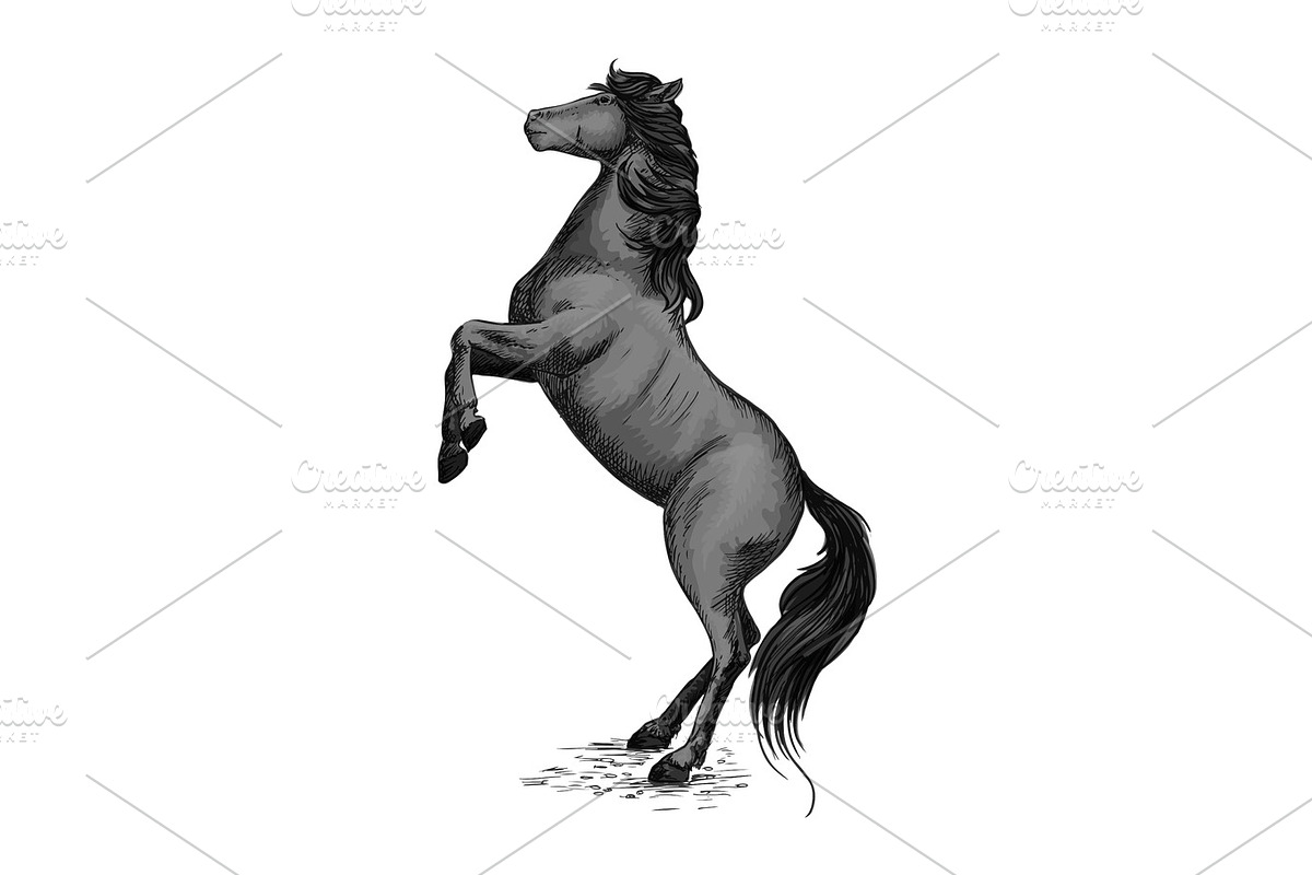 Wild horse stallion rearing in rage in Illustrations - product preview 8
