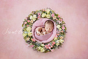 Newborn Photography Digital Backdrop