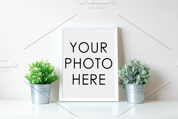 White Frame With Two Plants