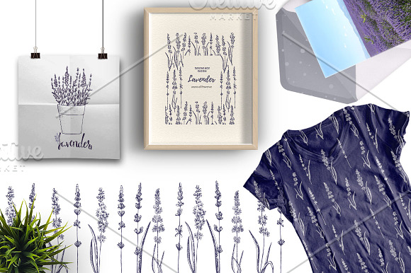 Lavender in Provence  in Illustrations - product preview 2
