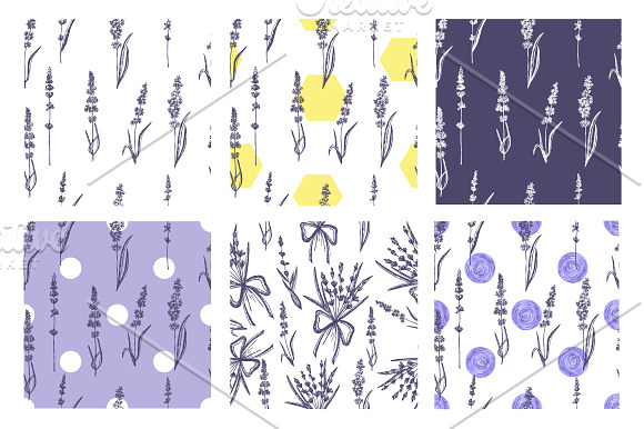 Lavender in Provence  in Illustrations - product preview 3