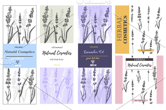 Lavender in Provence  in Illustrations - product preview 4