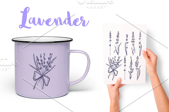 Lavender in Provence  in Illustrations - product preview 5