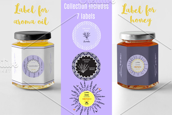 Lavender in Provence  in Illustrations - product preview 6