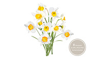 Daffodils Bouquets.