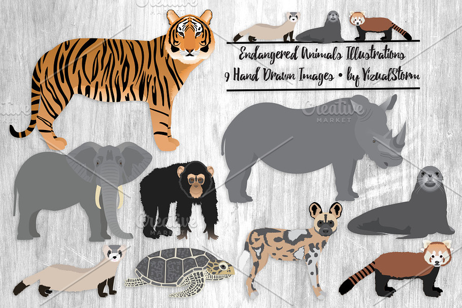 Endangered Animals Illustrations