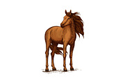 Sketch of horse standing, wild mustang or stallion