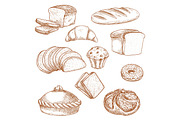 Pastry or bakery food and bread sketch