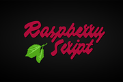 Raspberry Script