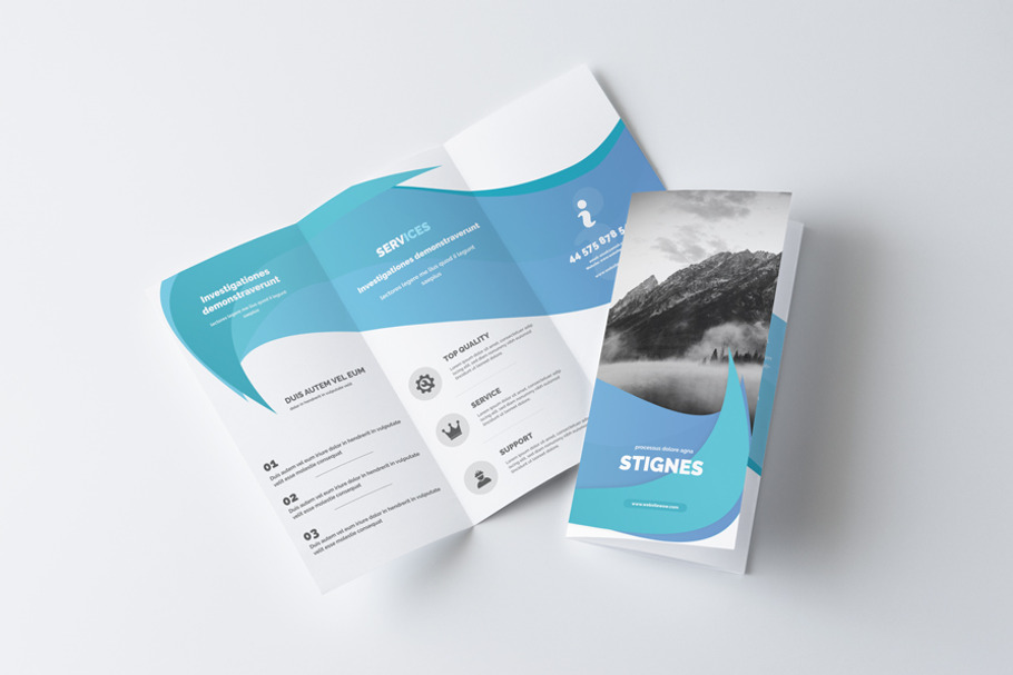 Business Trifold Brochure in Brochure Templates - product preview 8