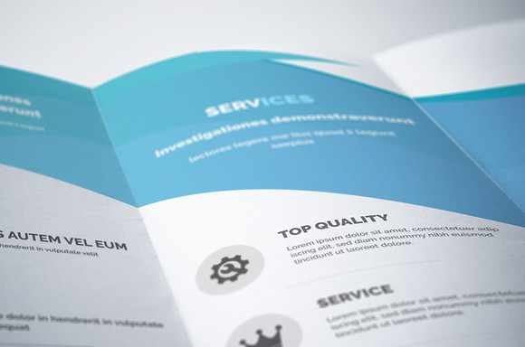 Business Trifold Brochure in Brochure Templates - product preview 3