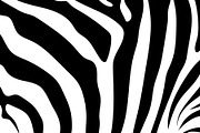 Abstract background skin of a zebra.