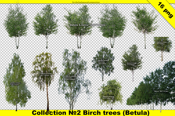 Landscape designer cut out tree set in Objects - product preview 1