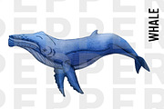 Whale Illustration Clipart
