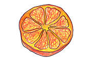 Orange exotic fruit hand drawn art