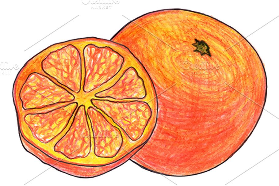 Orange exotic fruit hand drawn art in Illustrations - product preview 8