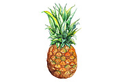 Watercolor pineapple exotic fruit