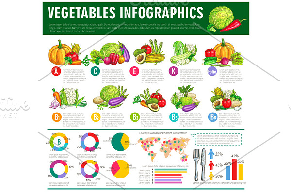 Vegetables healthy food vector infographics