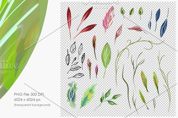 Artistic Leaves Set in Illustrations - product preview 1