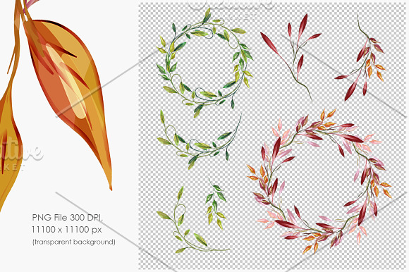 Artistic Leaves Set in Illustrations - product preview 2