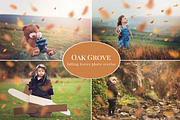 Oak Grove - falling leaves overlay