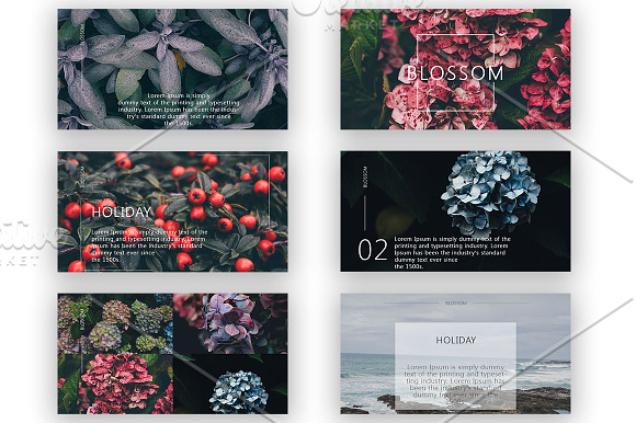 Lifestyle Social Pack / Kit 2 in Instagram Templates - product preview 3