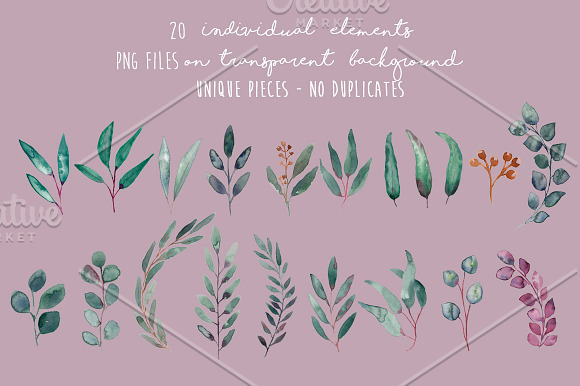 Elegant Watercolor Eucalyptus Leaves in Illustrations - product preview 3