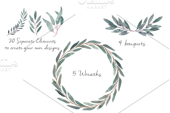 Elegant Watercolor Eucalyptus Leaves in Illustrations - product preview 4