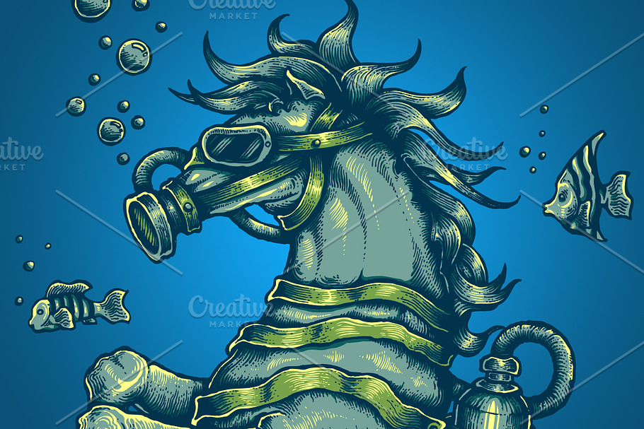 Sea Horse in Illustrations - product preview 8
