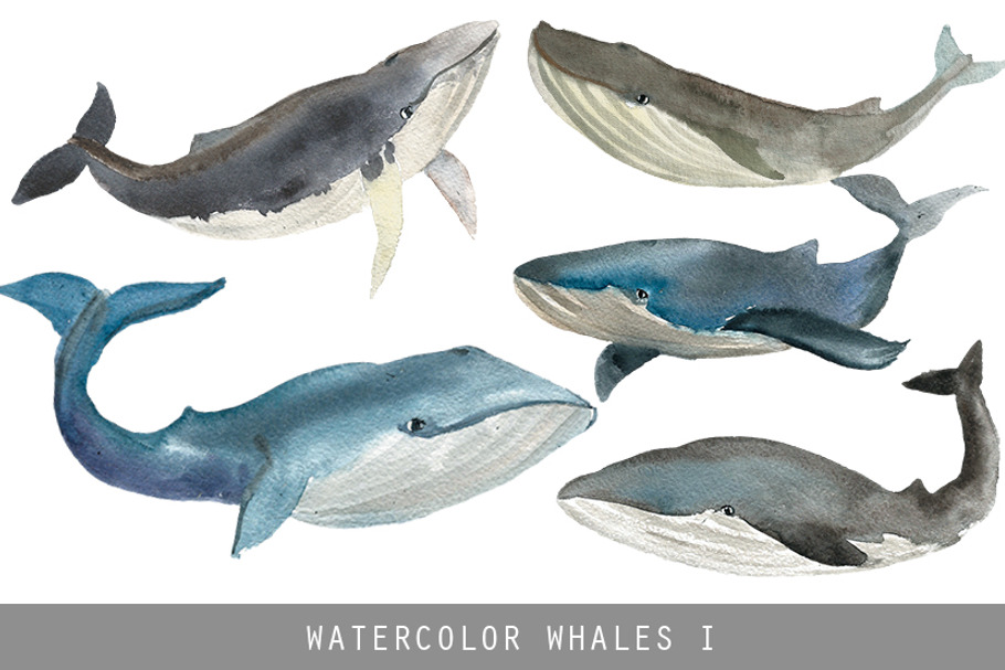 Watercolor whales - Nautical images