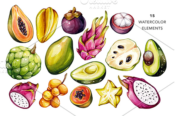 Tropical Fruits, Watercolor  in Illustrations - product preview 3