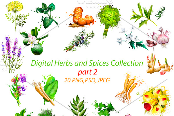 Digital Herbs and Spices Collection